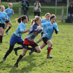 quimper 11