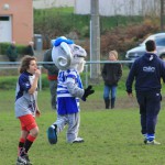 quimper 9